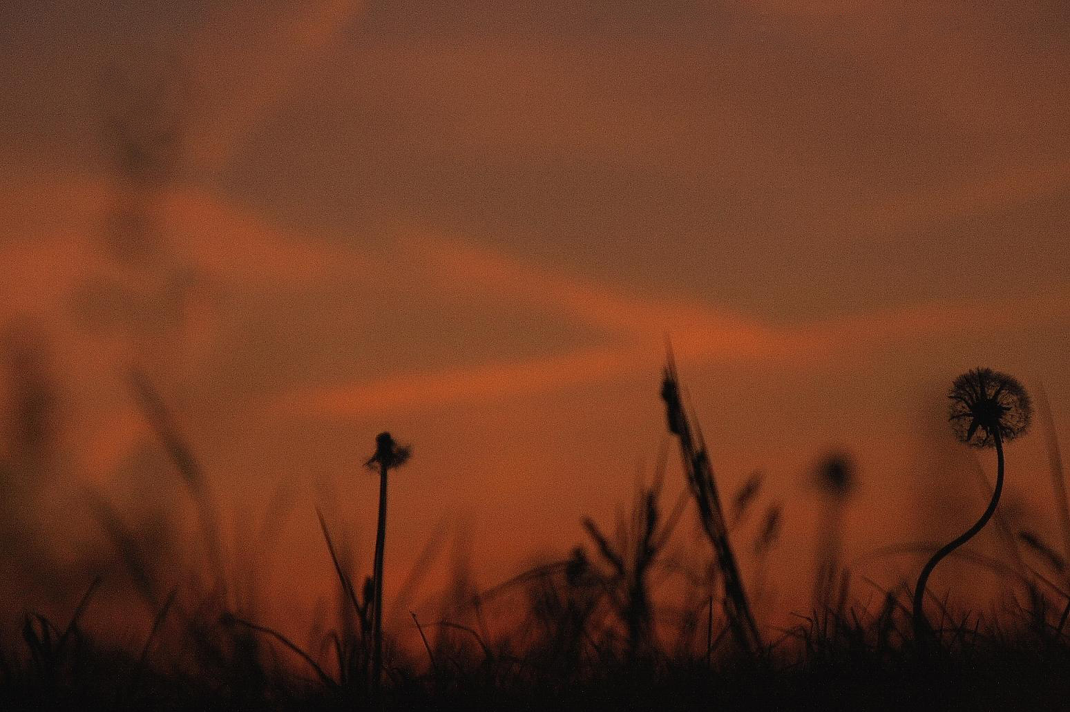 Bei sonnenuntergang .