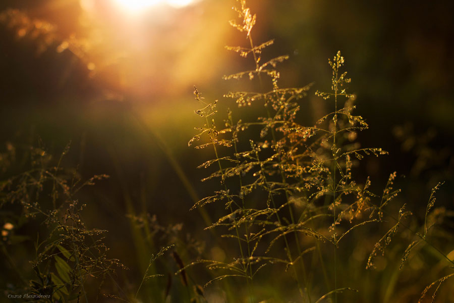 bei Sonnenuntergang