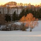 Bei Sonnenuntergang