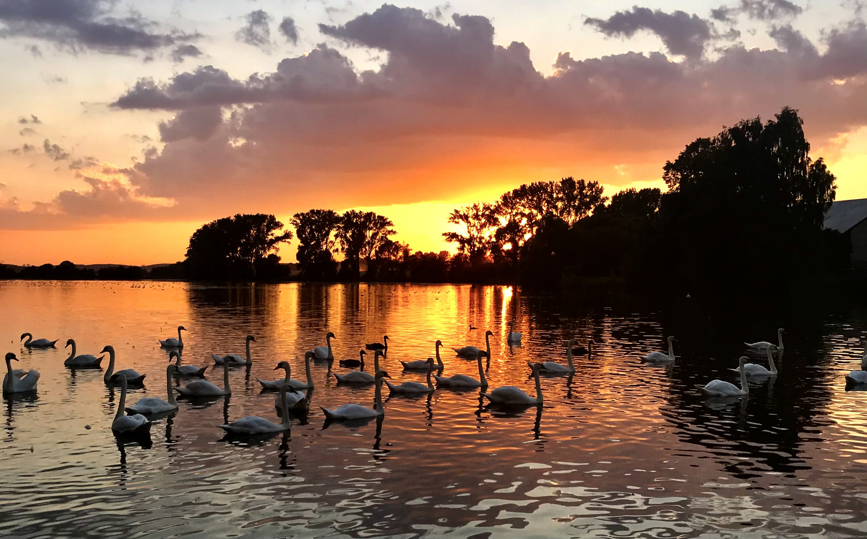 Bei Sonnenuntergang am Dorfsee