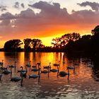 Bei Sonnenuntergang am Dorfsee