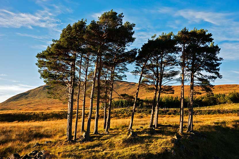 Bei Sonnenuntergang in den Highlands