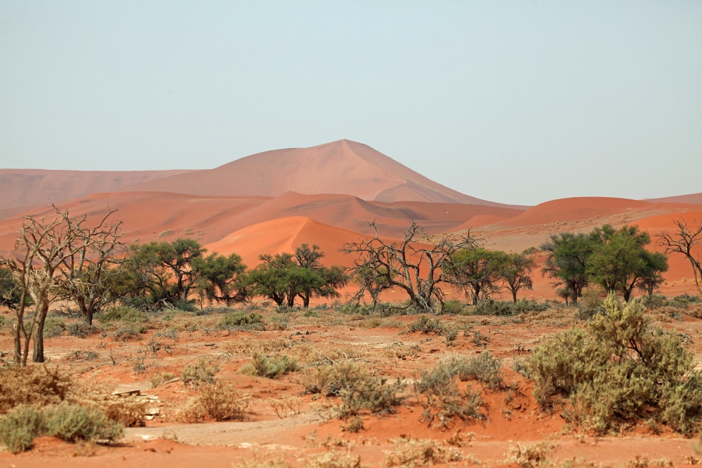 Bei Sossusvlei