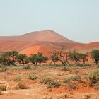 Bei Sossusvlei