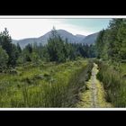 Bei Spean Bridge 2