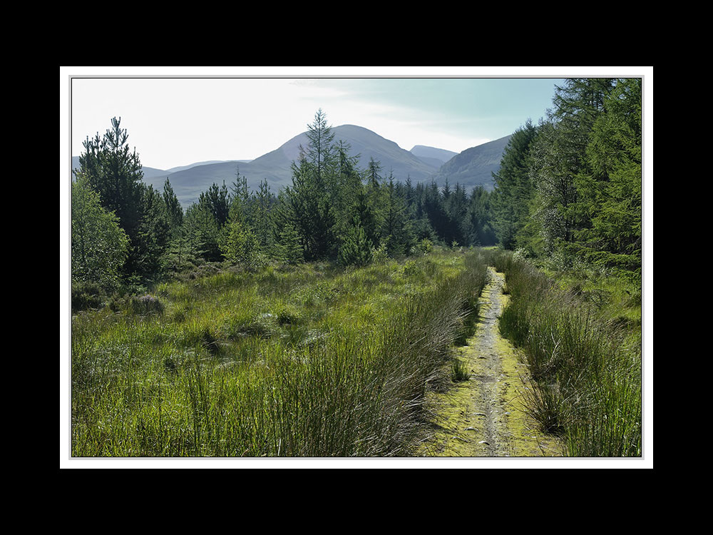 Bei Spean Bridge 2