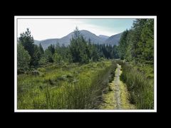 Bei Spean Bridge 2