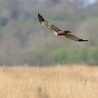 Bei starken Windböen