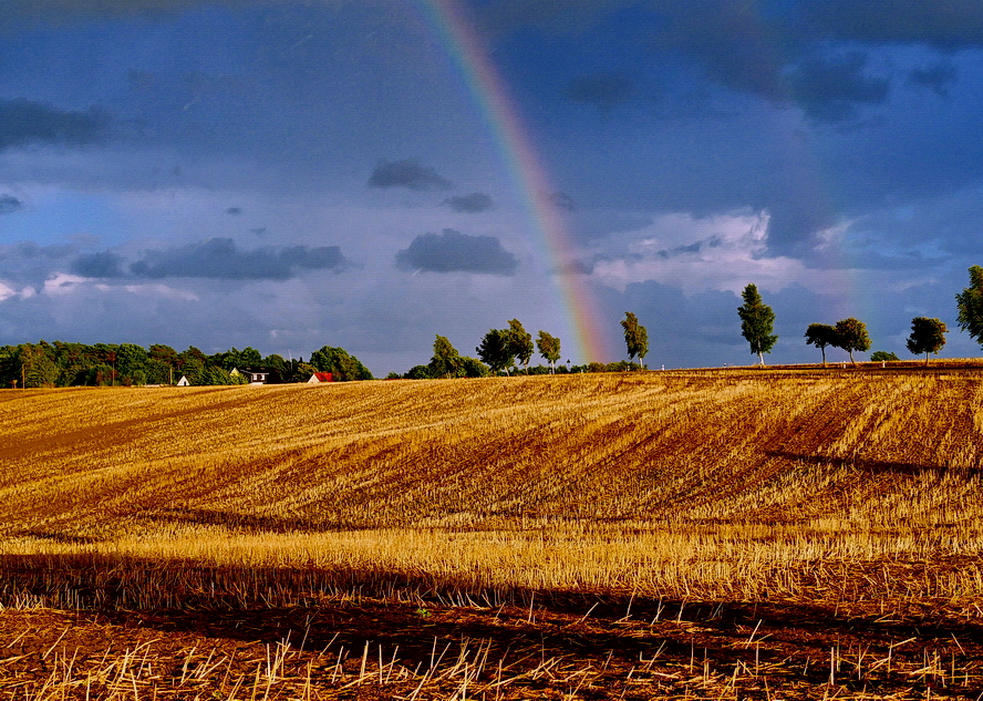 Bei Stedar