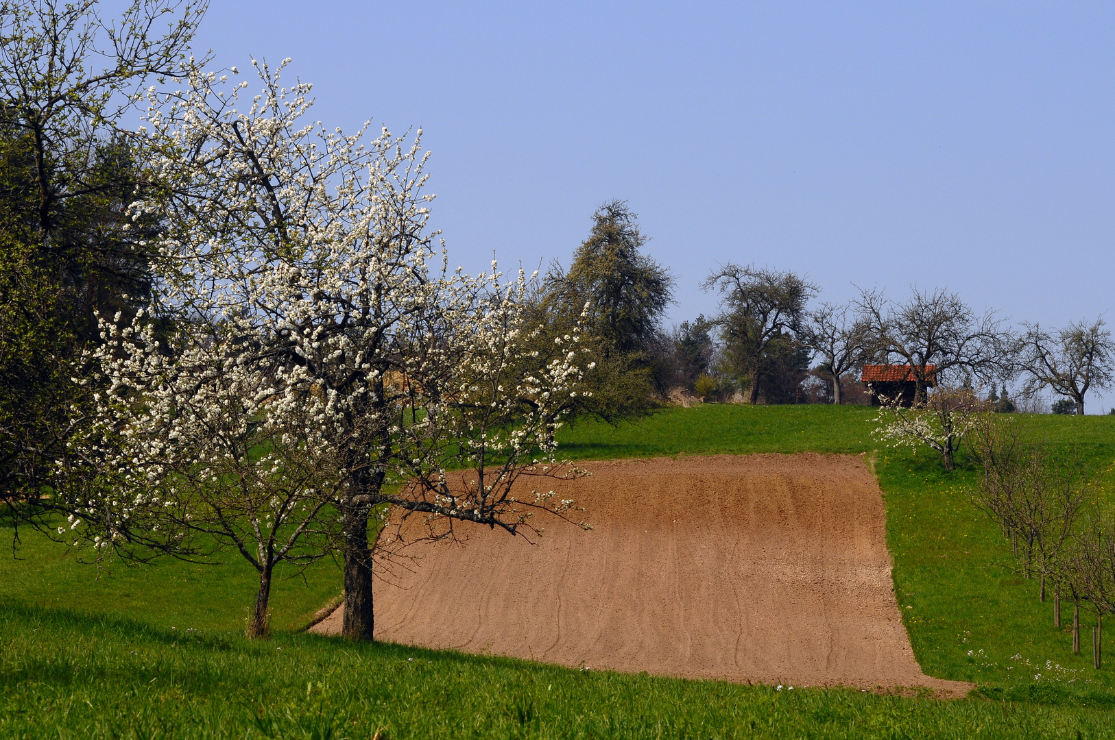 Bei Steinach / Winnenden