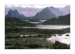 Bei Steine auf den Lofoten