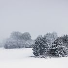 Bei Stennweiler im Saarland