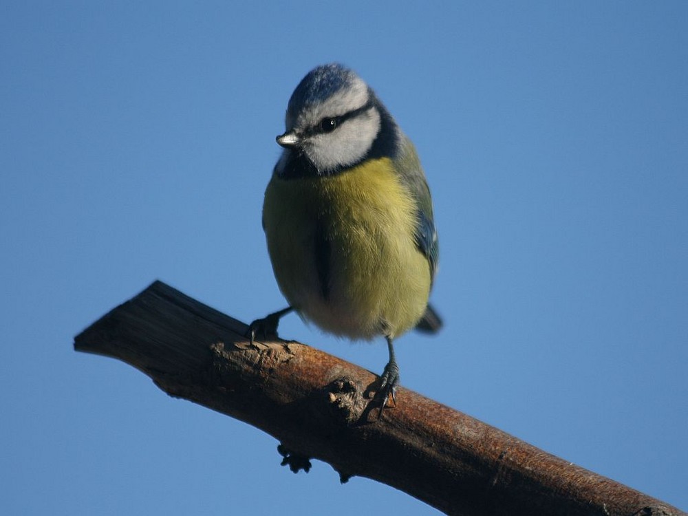 bei strahlend blauem Himmel ...