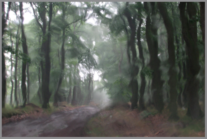 Bei strömendem Regen fotografiert - ein 'Aquarell'