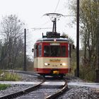 Bei Sturm und bei Regen