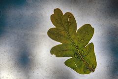 Bei Sturm und Regen