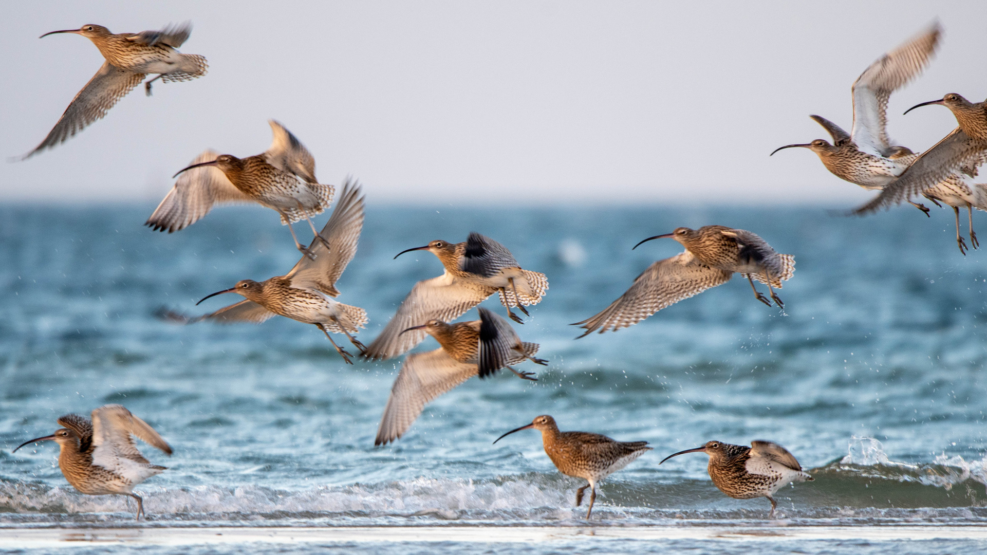 Bei Südwestwind am Strand