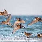 Bei Südwestwind am Strand