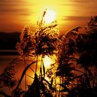 bei sulmsee ist sonnenuntergang immer schön