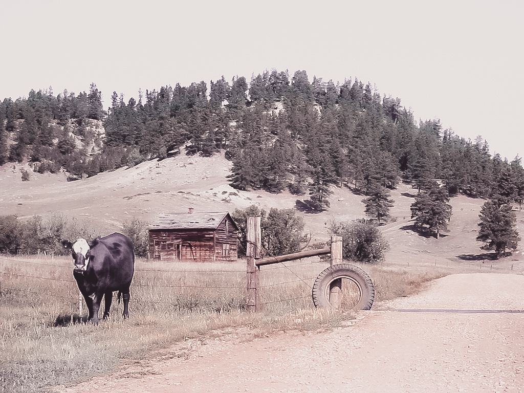 Bei Sundance, Wyoming 2002