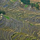 Bei Tageslicht: Reisterrassen von Yuanyang in Yunnan