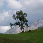 Bei Tarasp/Schweiz