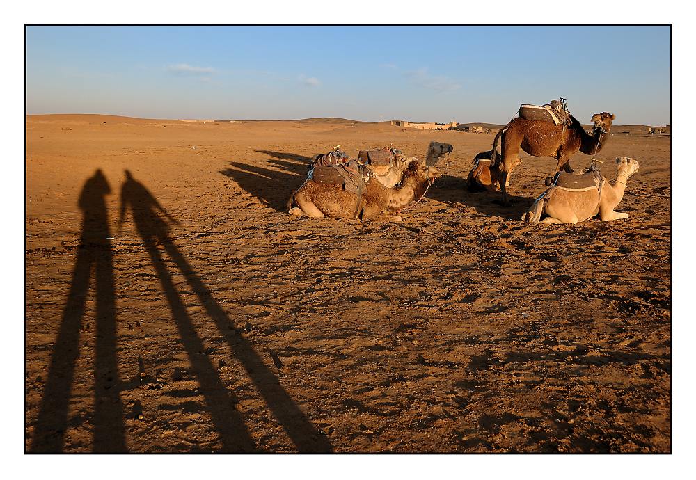 bei tiefstehender Sonne werfen auch Zwerge lange Schatten