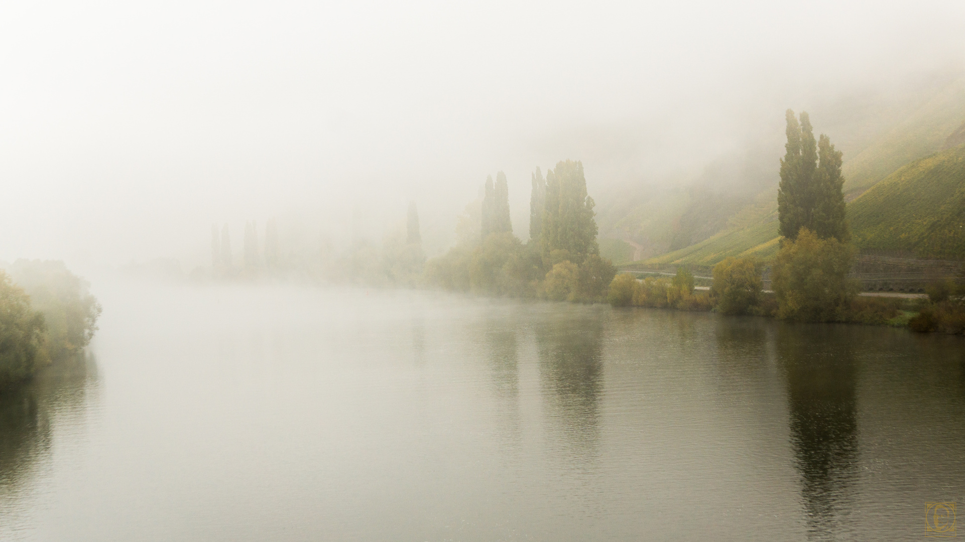 Bei Trittenheim an der Mosel