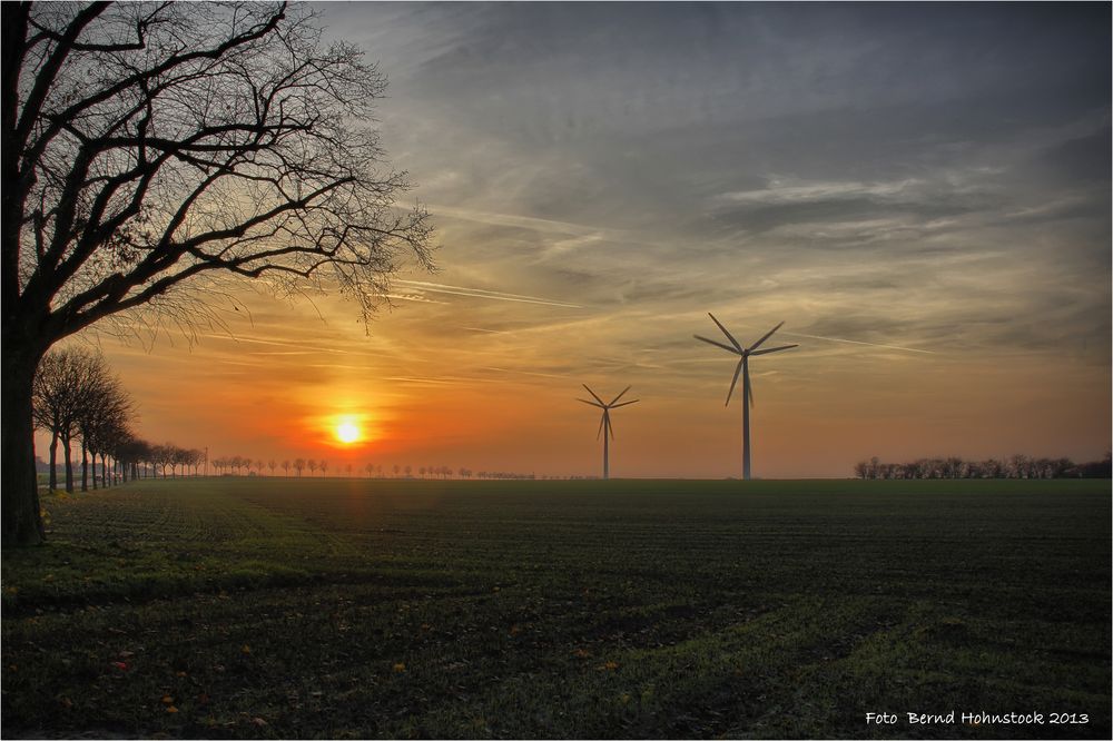 bei uns am linken Niederrhein .....