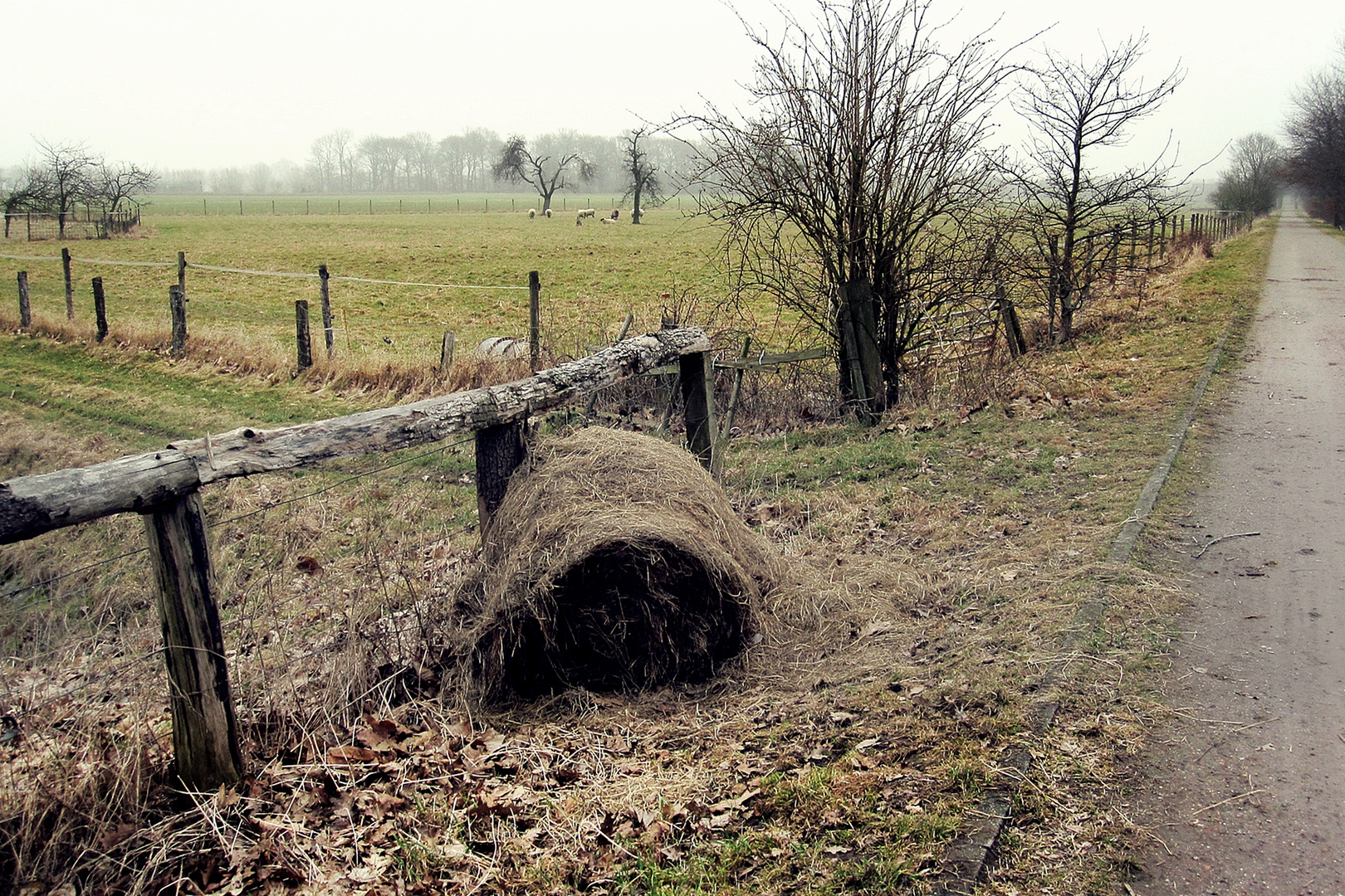 bei uns am Niederrhein