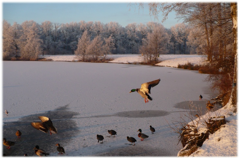 Bei uns am See; Abenddämmerung im Winter von Lillebe 