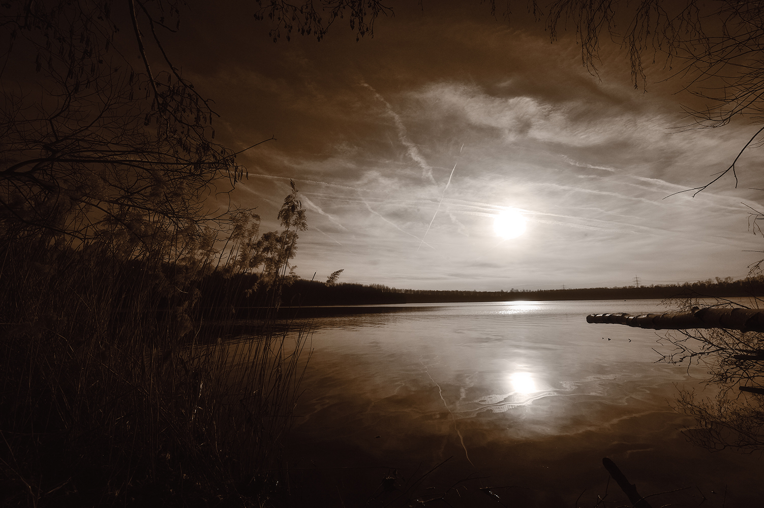 Bei uns am See. (Bleibtreusee)