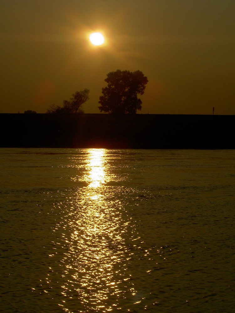 bei uns am teich