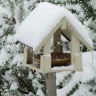 Bei uns gehen sogar die Vögel zu Fuß