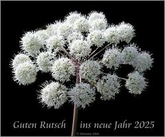 Bei uns gibt es...
