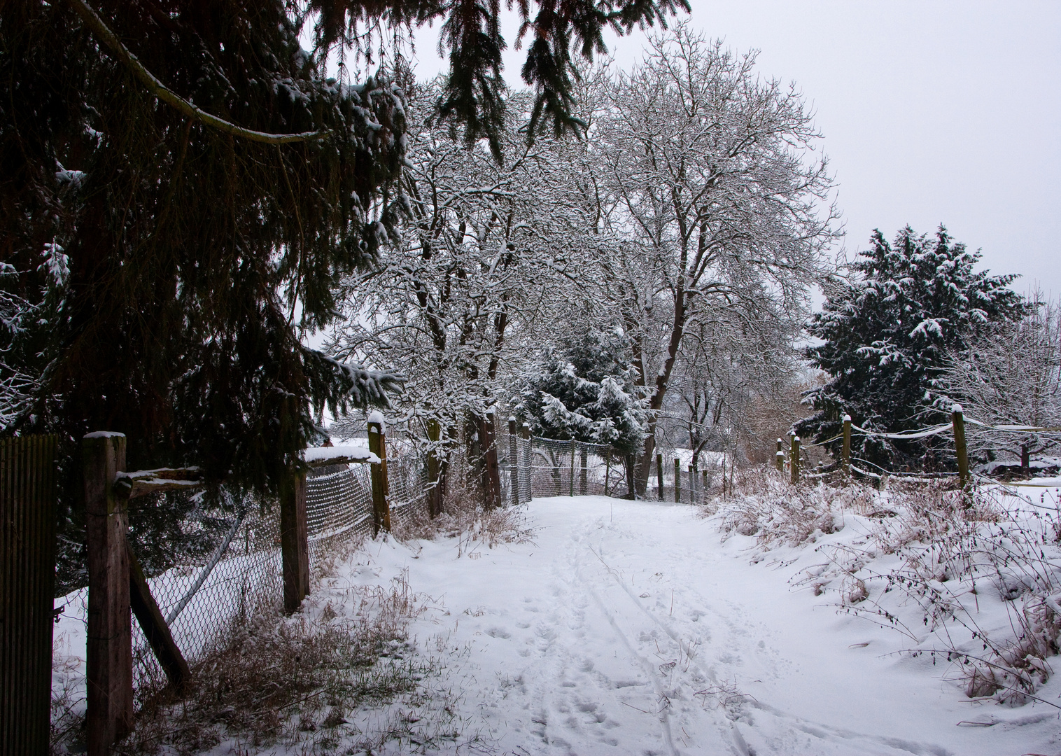 Bei uns hat es gestern und heute den ganzen Tag geschneit