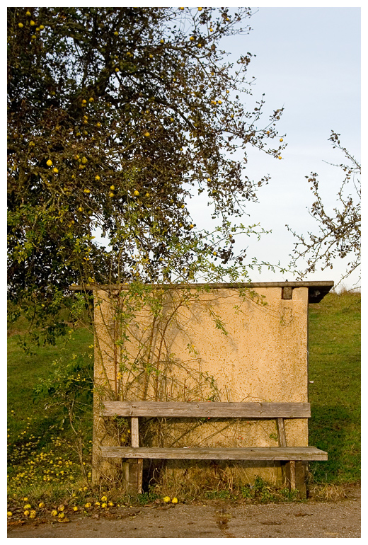 Bei uns im Dorf 2.161