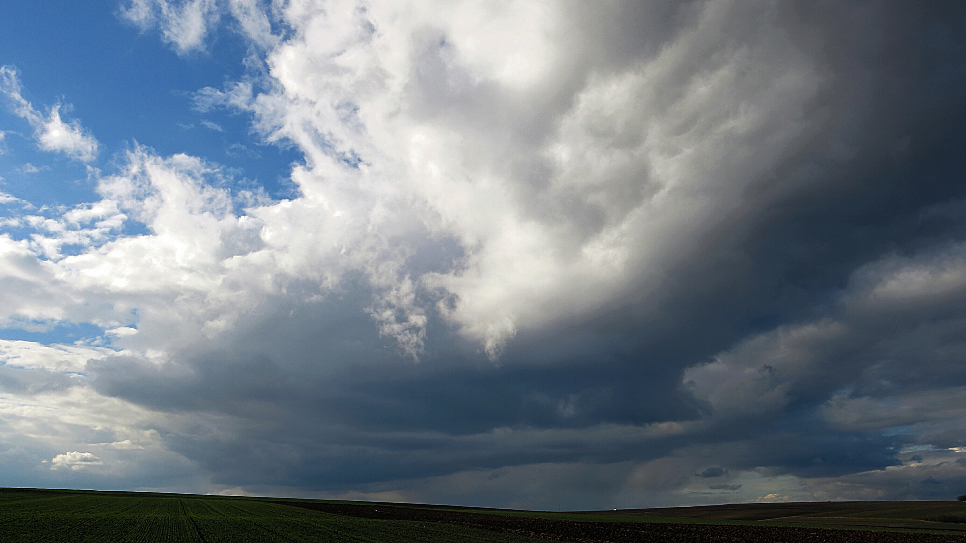 bei uns im feld 2