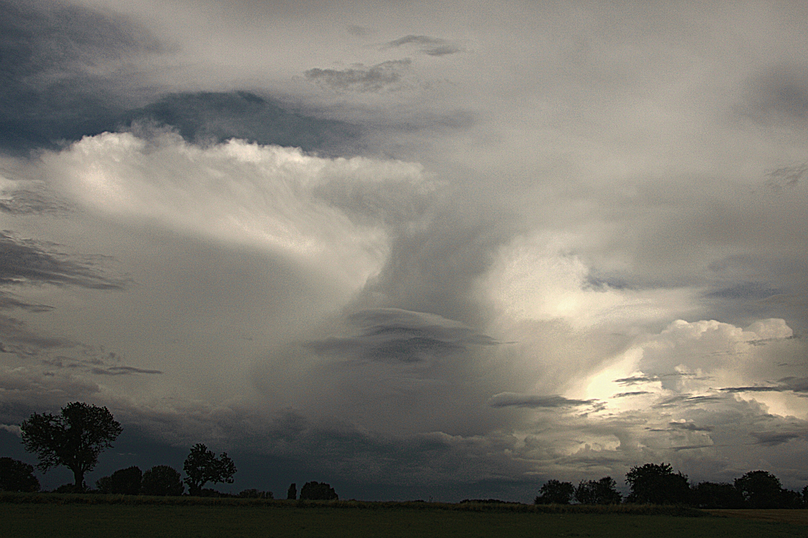 bei uns im feld 4