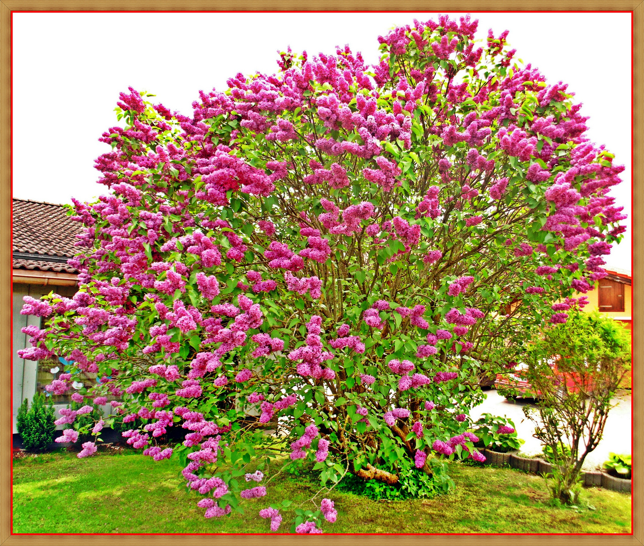 bei uns im Garten 2