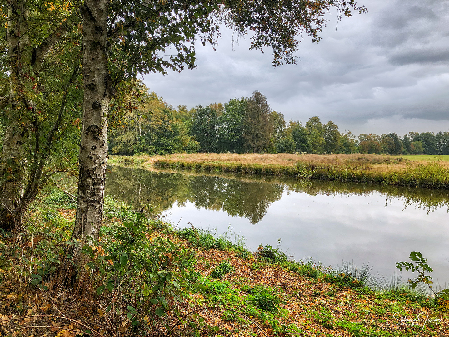 Bei uns im Moor