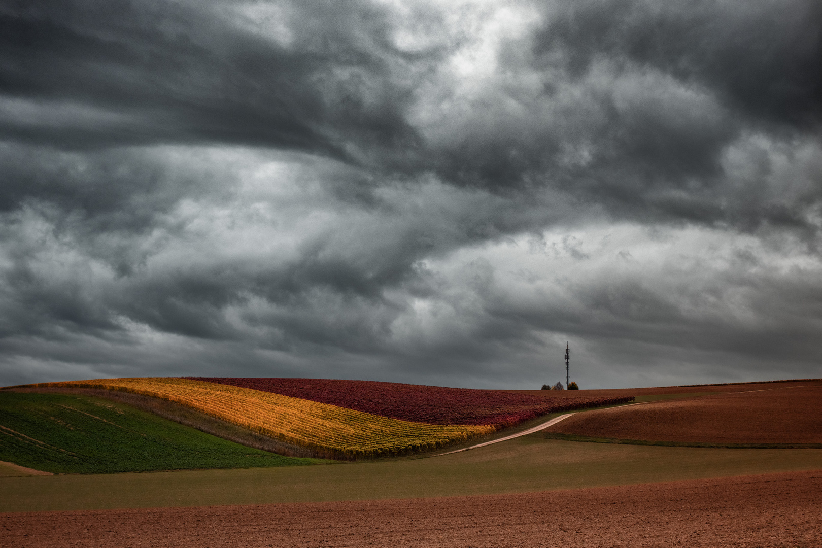 bei uns in Rheinhessen 