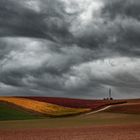 bei uns in Rheinhessen 