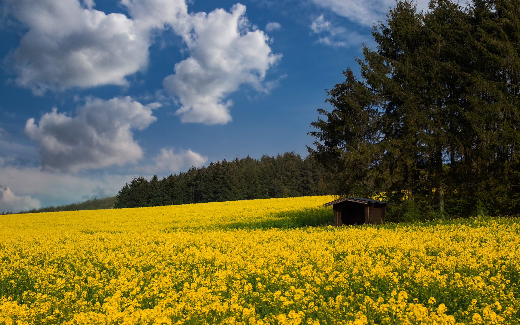 bei uns in Rheinhessen 