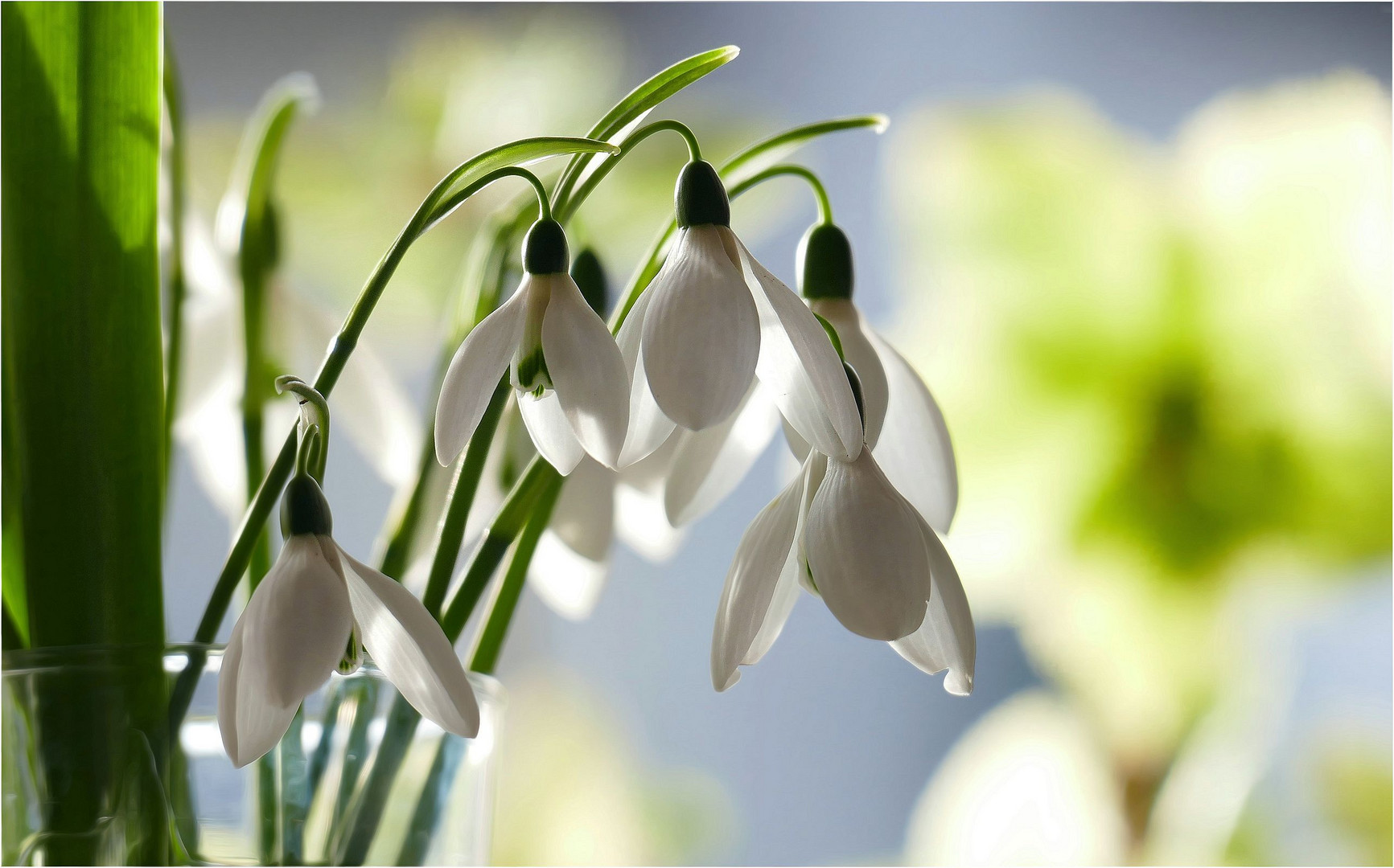 Bei uns ist Frühling....