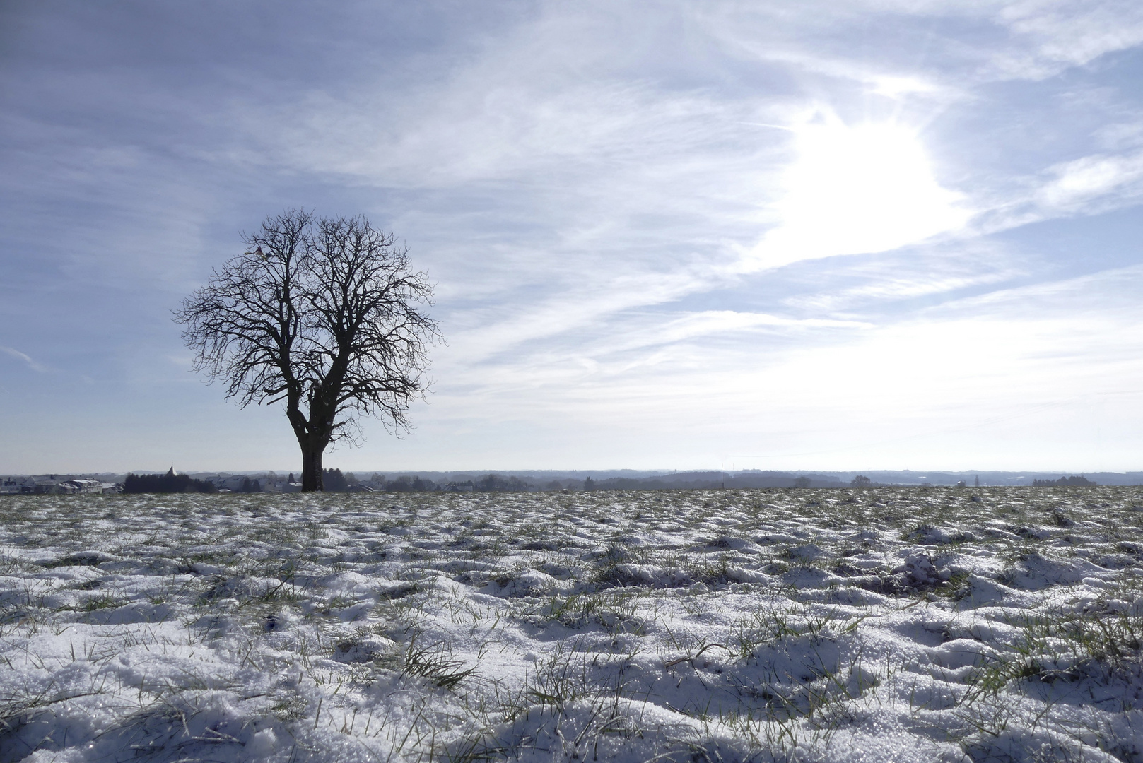 Bei uns ist in diesem Jahr der erste Schnee gefallen