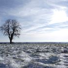 Bei uns ist in diesem Jahr der erste Schnee gefallen