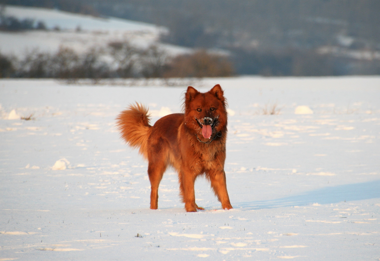 bei uns ist noch Winter