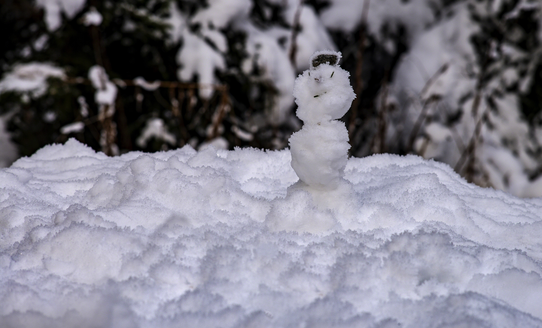 Bei uns schneit es schon den ganzen Tag.....