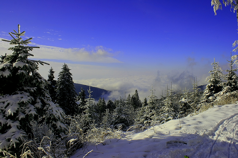 Bei Unterstmatt im Schwarzwald